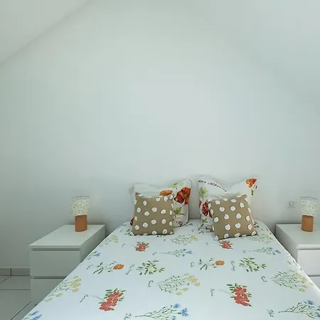 Ferienhaus Maison Charmante A - 6 Pers. - Fr-1-877-5 Biscarrosse